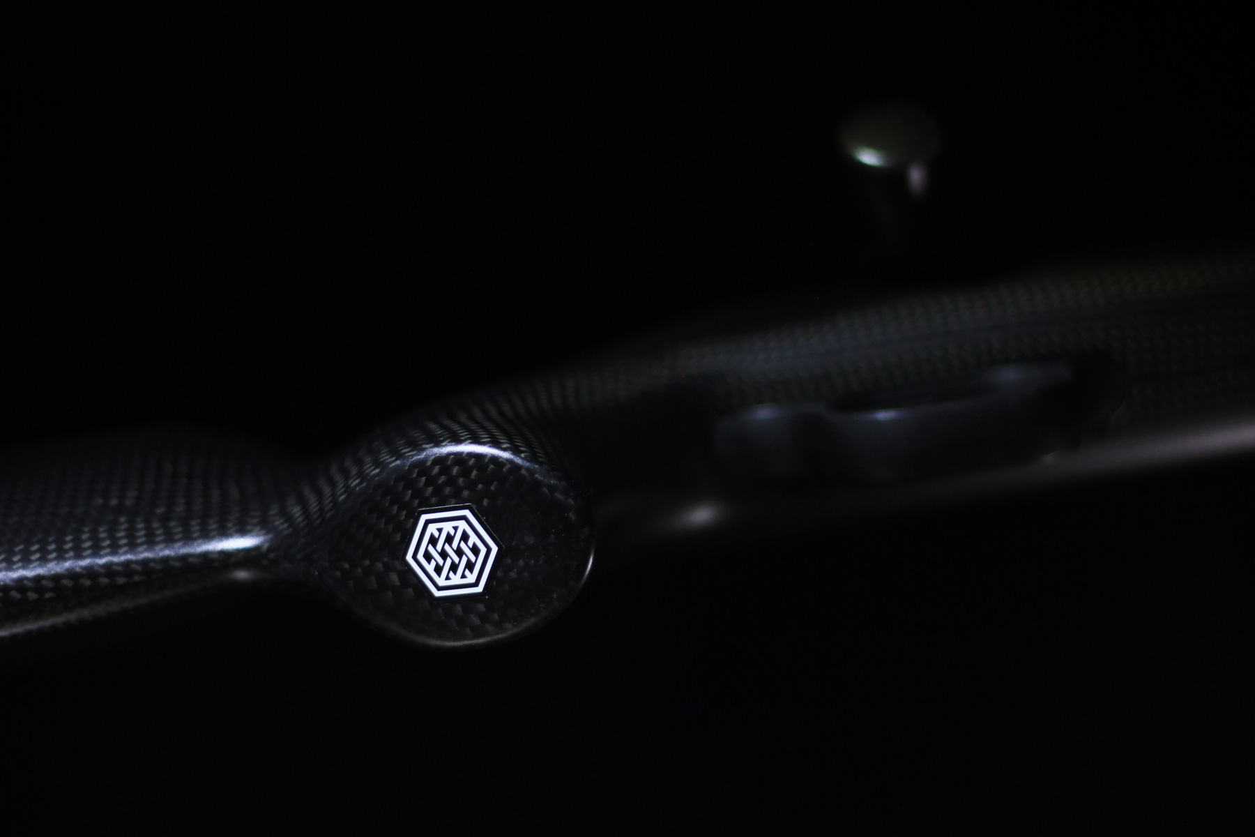 Carbon stock for Blaser R93 Professional - Image 5